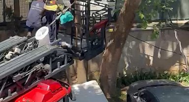 Ağaçta mahsur kalan kedi itfaiye tarafından kurtarıldı