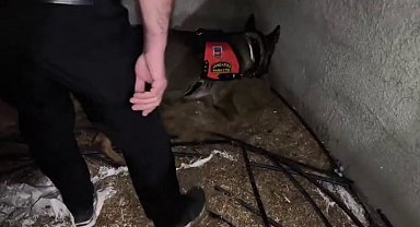 Ahırda saman içinde saklı 2 kilo uyuşturucu ele geçirildi