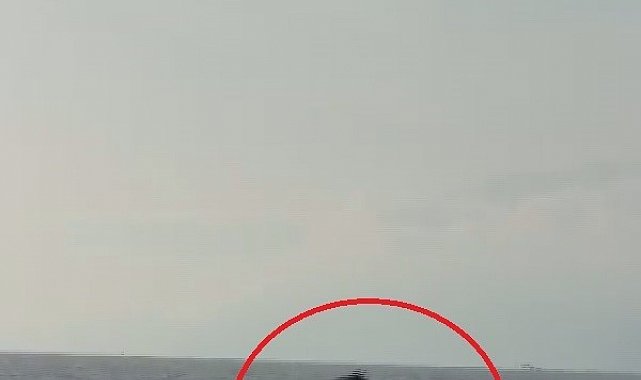 Akdeniz açıklarında balıkçı teknesini selamlayan yunuslar görüntülendi
