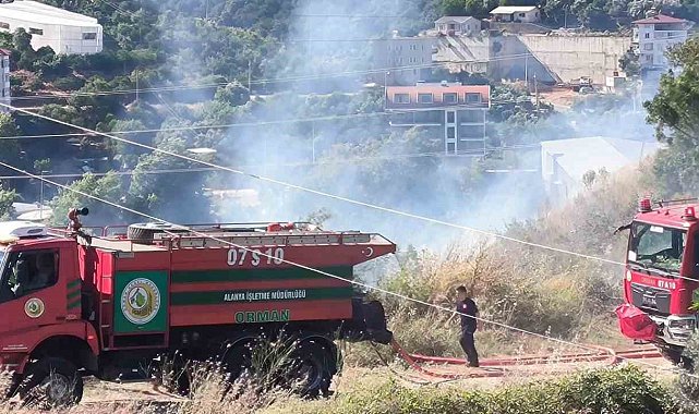 Alanya'da zirai alanda çıkan yangında 1 dönüm zarar gördü