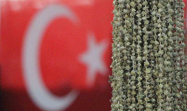 Amasyalı bamyacılar Uganda bamyasını ombudsmana şikayet etti