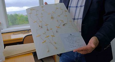 Anadolu Üniversitesi'nden dünya literatürüne iki yeni endemik tür