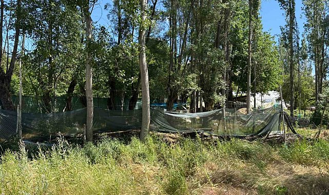 Ankara'da eşinin bıçakladığı kadın hayatını kaybetti