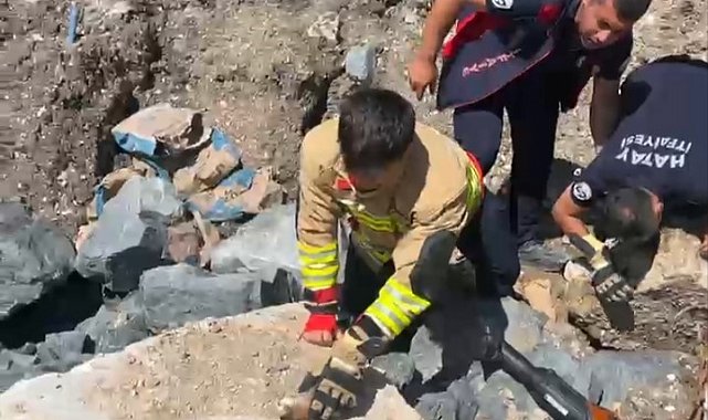 Anne kedi yavruları kurtarılana kadar ekiplerin başında bekledi