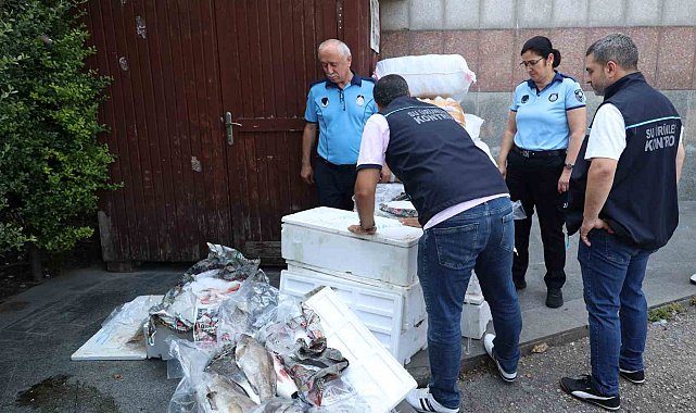 Antalya Otogarı'nda balık operasyonu: 260 kilo ele geçirildi