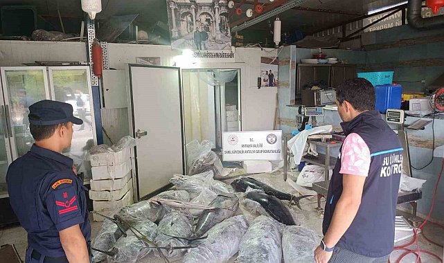 Antalya'da avlanması ve satışı yasak olan 603 kilogram balığa el konuldu