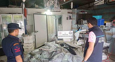 Antalya'da avlanması ve satışı yasak olan 603 kilogram balığa el konuldu