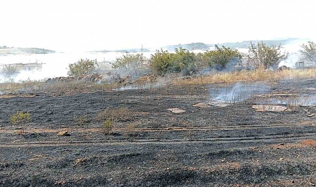 Antalya'da otluk alan yangını itfaiye ekiplerince söndürüldü