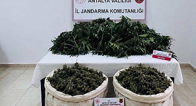 Antalya'da uyuşturucu operasyonunda 11 kilo 100 gram kubar esrar ele geçirildi