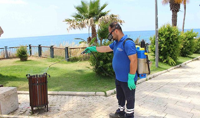Antalya'da vektörle mücadele 19 ilçede sürdürülüyor