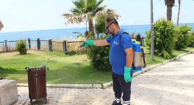 Antalya'da vektörle mücadele 19 ilçede sürdürülüyor