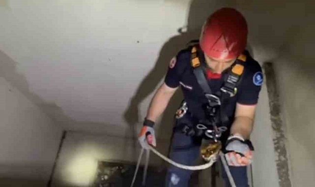 Apartman boşluğuna düşen yavru martı ekiplerce kurtarıldı