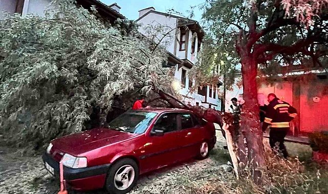 Araç üzerine düşen ağaç itfaiye ekiplerinin titiz çalışmasıyla kaldırıldı