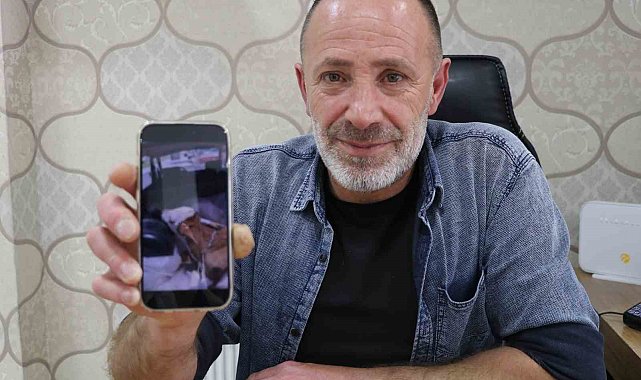Aracın bagajındaki buzağıyı görünce merakla yaklaştı, gördüğü manzara karşısında şaşkınlığını gizleyemedi