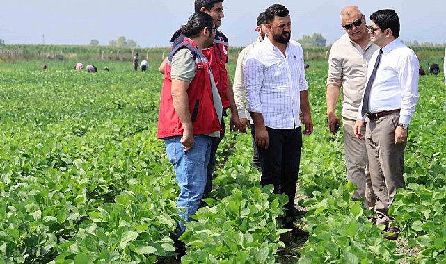 Arsuz'da soya ekimi yapıldı