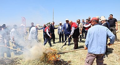 Asırlık lezzet firik bulgurunun hasadı başladı