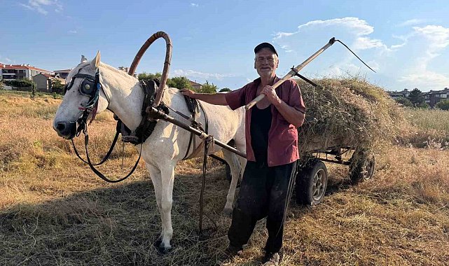 Atıyla doğaya çıkıp küçükbaş hayvanları için tırpanla ot biçiyor
