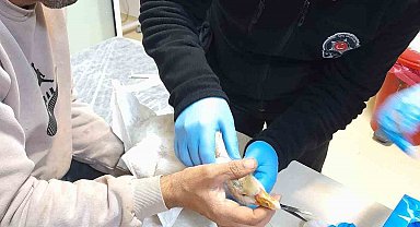 Atmacanın saldırdığı yavru kazı devlet hastanesine götürdü: İlk müdahaleyi güvenlik görevlisi yaptı
