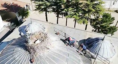 Ayağı yuvasındaki ipe takılan yavru leyleği itfaiye kurtardı