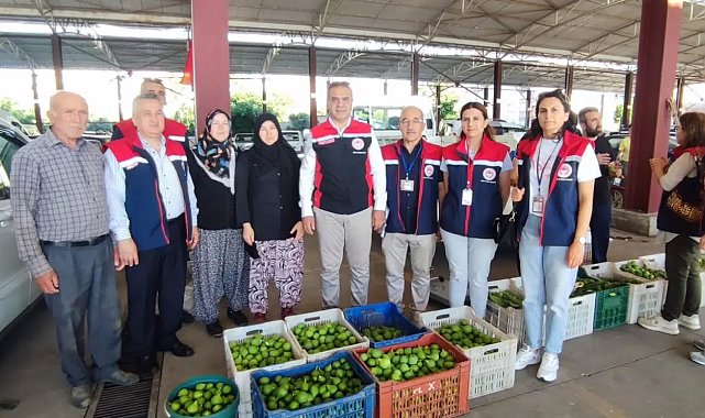 Aydın inciri için denetimler sürüyor