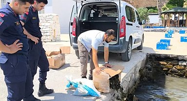 Aydın'da 60 kilo canlı yengeç ele geçirildi