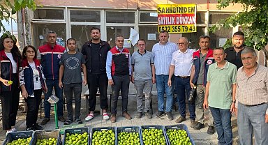 Aydın'da ilek pazarı denetimleri aralıksız sürüyor