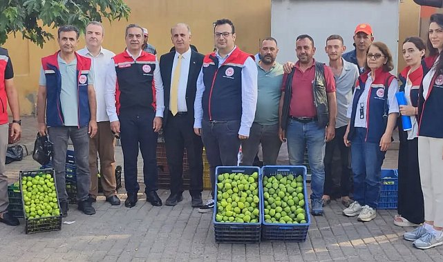 Aydın'ın dünya markası inciri için sahada yoğun mesai