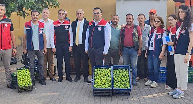 Aydın'ın dünya markası inciri için sahada yoğun mesai