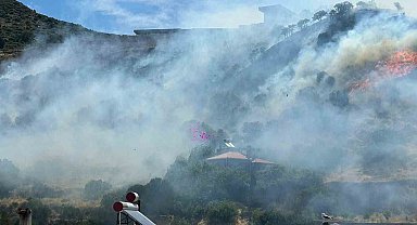 Ayvacık'ta makilik alanda yangın çıktı