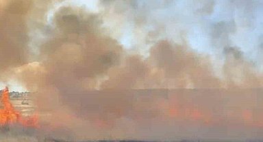 Balıkesir'de arazi yangını