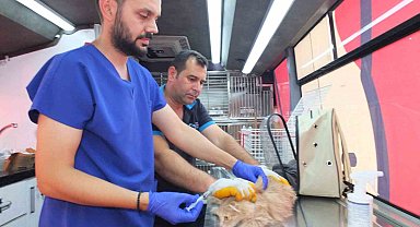 Balıkesir'de Can Dost 18 bin sokak hayvanına sağlık hizmeti verdi