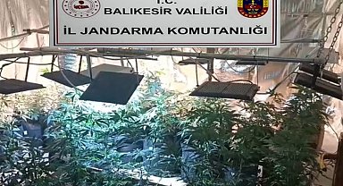 Balıkesir'de jandarmadan uyuşturucu serasına çevrilen evlere baskın: 12 gözaltı