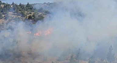 Balıkesir'de otluk ve koruluk alanda yangın