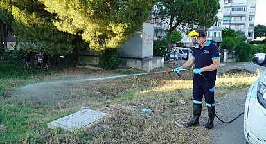 Balıkesir'de vektörle mücadelede tam zamanlı mesai