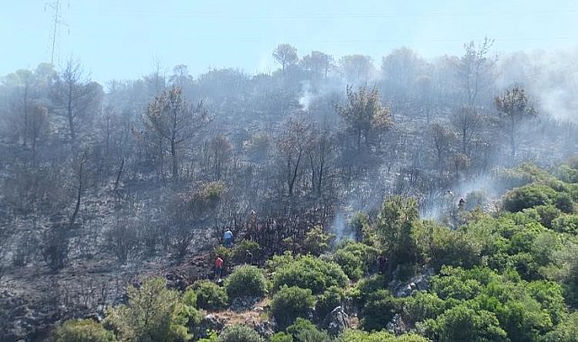 Balıkesir'deki orman yangını kontrol altına alındı