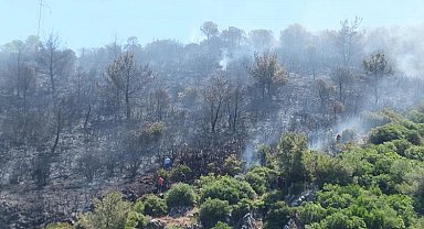 Balıkesir'deki orman yangını kontrol altına alındı