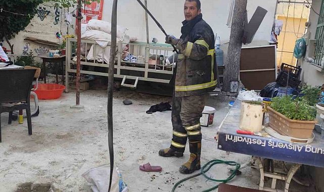 Batman'da evin bahçesine giren yılan paniğe neden oldu