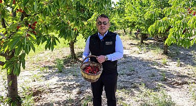 Bilecik'te 27 bin dekarda yıllık yaklaşık 15 bin 500 ton kiraz üretimi