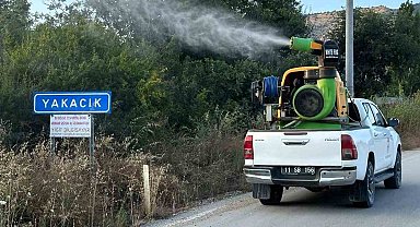 Bilecik'te haşerelere karşı ilaçlama çalışması yapıldı