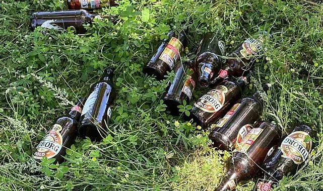 Bilecik'te piknikçiler alanı çöplüğe çevirdi: Doğa ve kamu malı zarar gördü