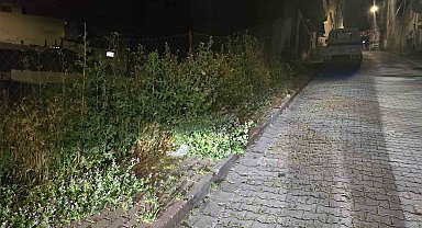 Bilecik'te vatandaşlar otlardan kaldırımda yürüyemiyor