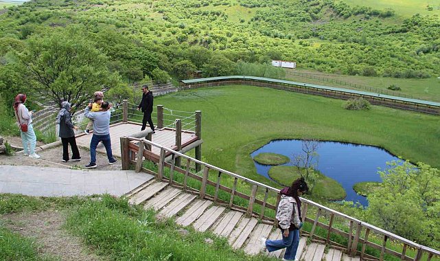 Bingöl'deki Yüzen Adalar'a bayramda ziyaretçi akını