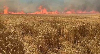 Bir sigara keyfi buğday tarlasını kül etti