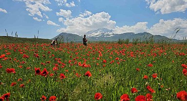 Bitlis'in Adilcevaz ilçesinde gelincik ve karın büyüleyici buluşması