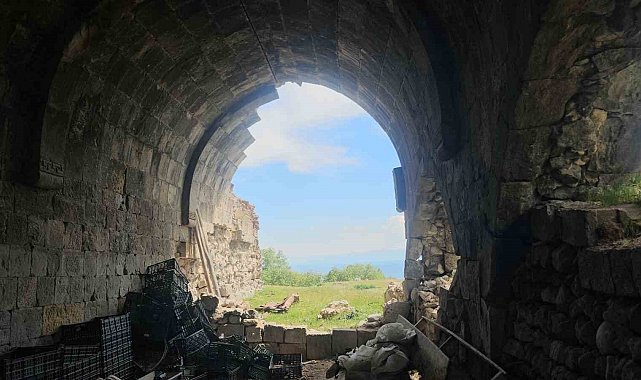 Bitlis'in tarihi mirası sessizce yok oluyor: Lale Paşa Hanı ilgi bekliyor