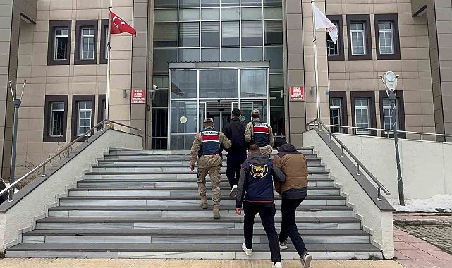 Bitlis'te göçmen kaçakçılığı operasyonu