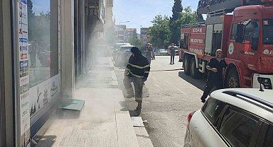 Bodrum katta çıkan yangında 4 kedi son anda kurtarıldı