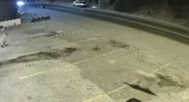 Bodrum'daki ölümlü kazanın güvenlik kamerası ortaya çıktı