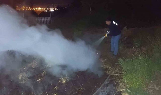 Bolu'da korkutan anız yangını: Ormana sıçramadan söndürüldü
