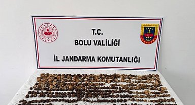 Bolu'da yabani salep toplayan 3 kişiye rekor ceza: 2 milyon 97 bin TL